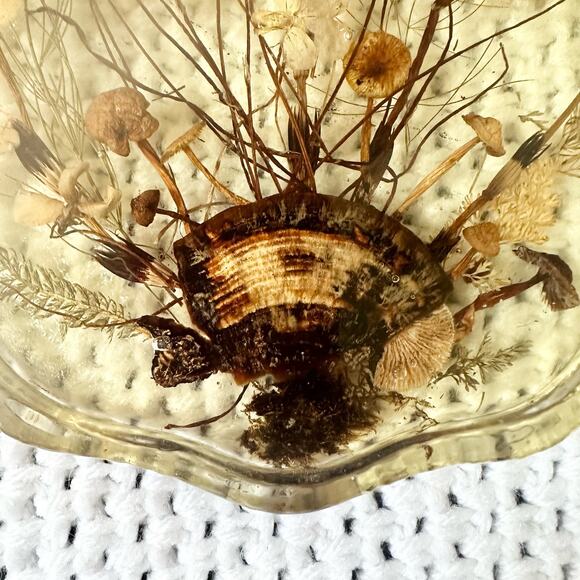 Resin Scalloped Edged Dried Preserved Pressed Wildflowers Seashell Wall Hanging - Picture 5 of 7